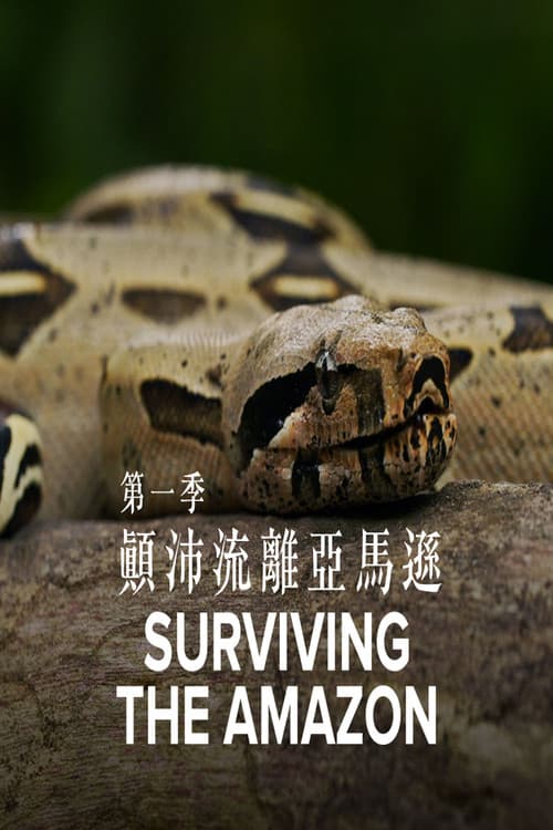 Surviving the Amazonのポスター