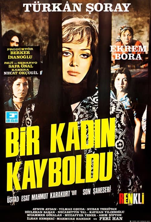 Bir Kadın Kaybolduのポスター