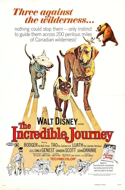 The Incredible Journeyのポスター