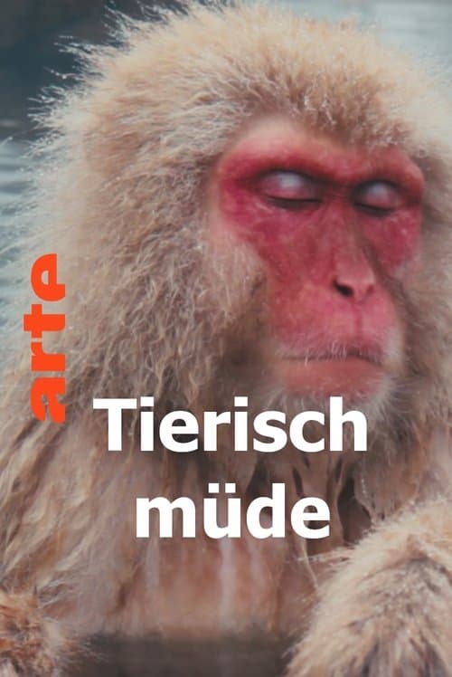 Tierisch müde - Das Rätsel Schlafのポスター