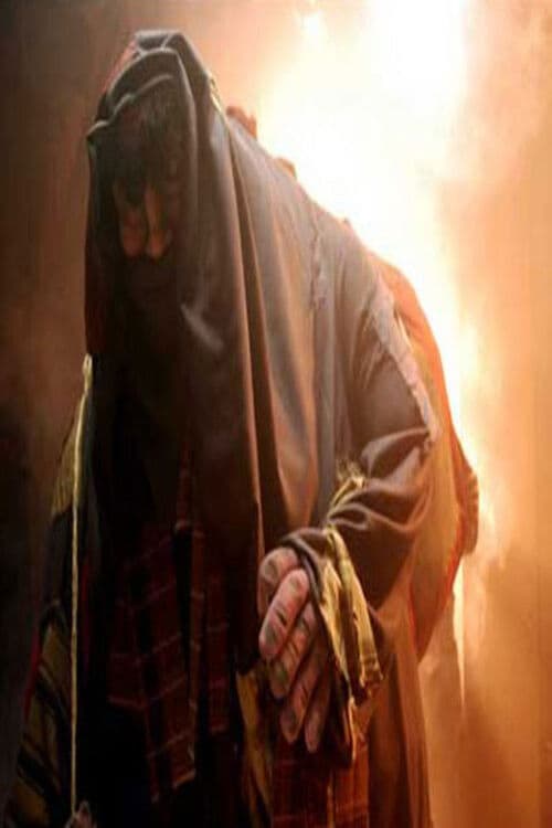 O Sete Trouxasのポスター