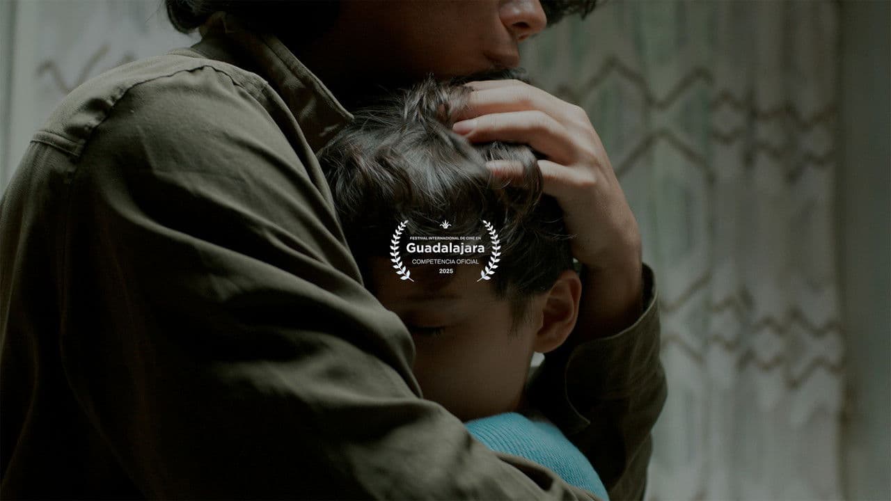 GAMBOAの背景画像