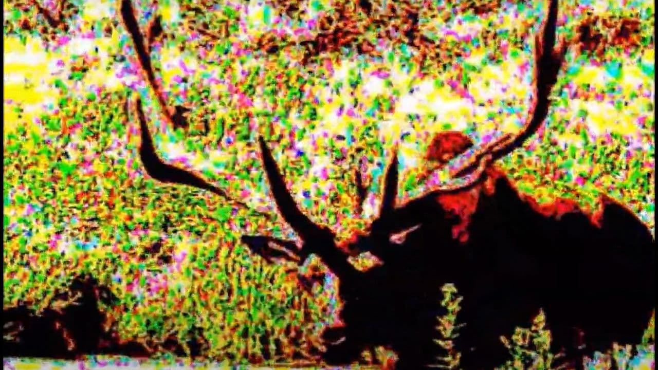 Thoughts from the Wombの背景画像