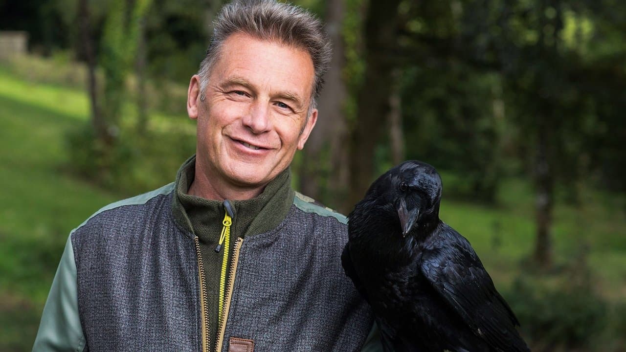 Chris Packham's Animal Einsteinsの背景画像
