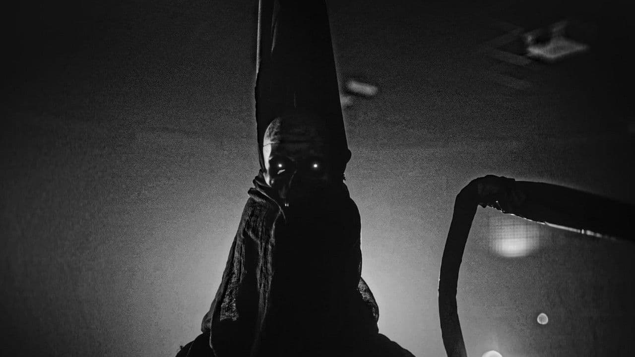 Mortadellaの背景画像