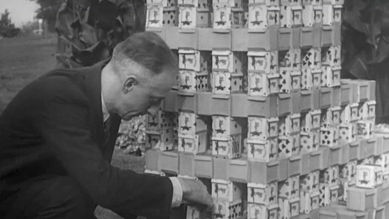 Believe It or Not (Second Series) #2の背景画像