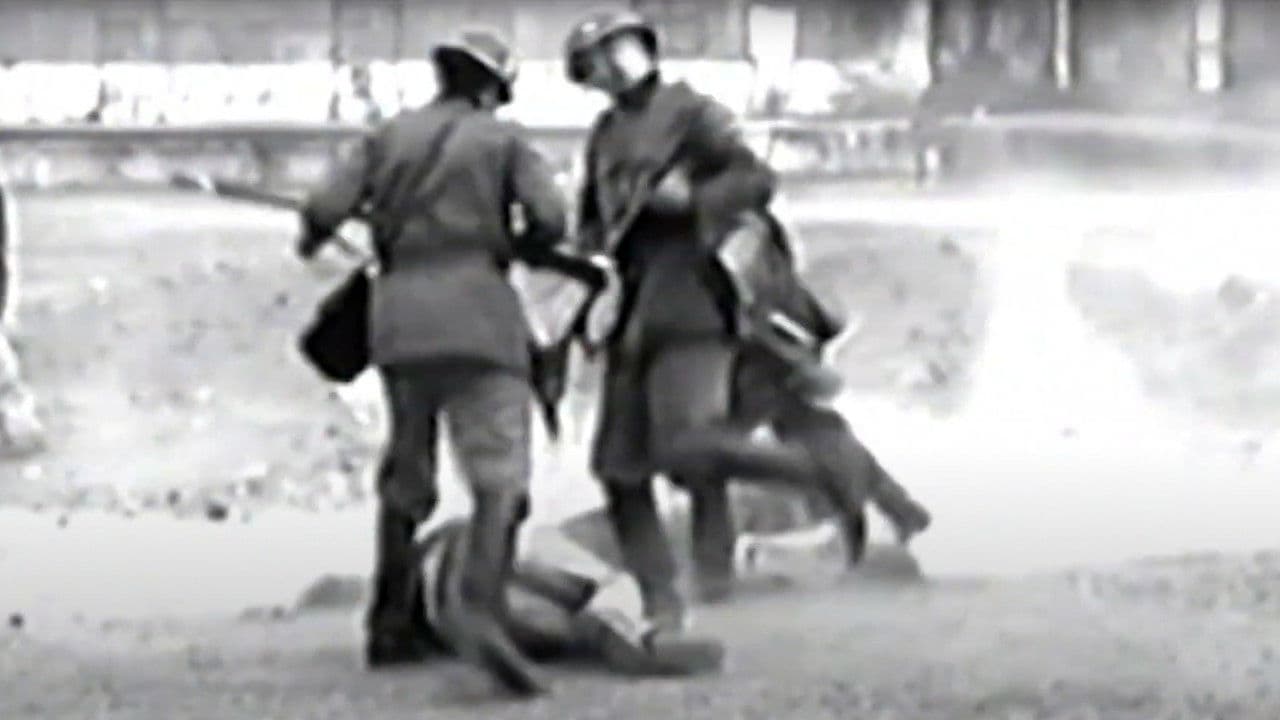 Campo neutralの背景画像