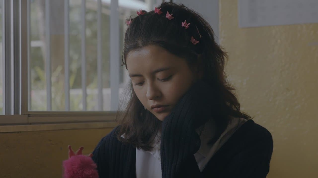 Lavandaの背景画像