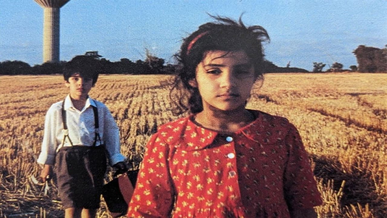 Dog Dish Dreamの背景画像