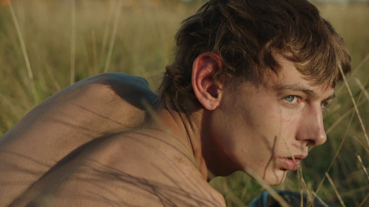 The Goobの背景画像