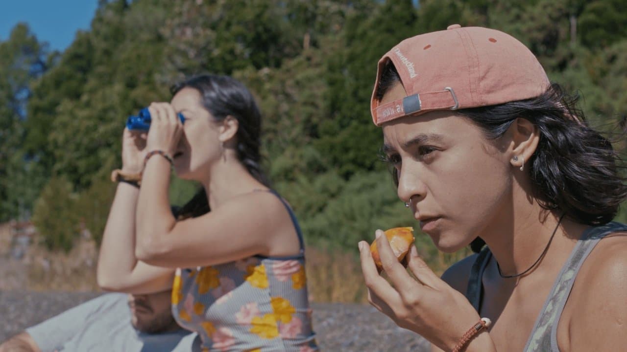 Pájaro monoの背景画像