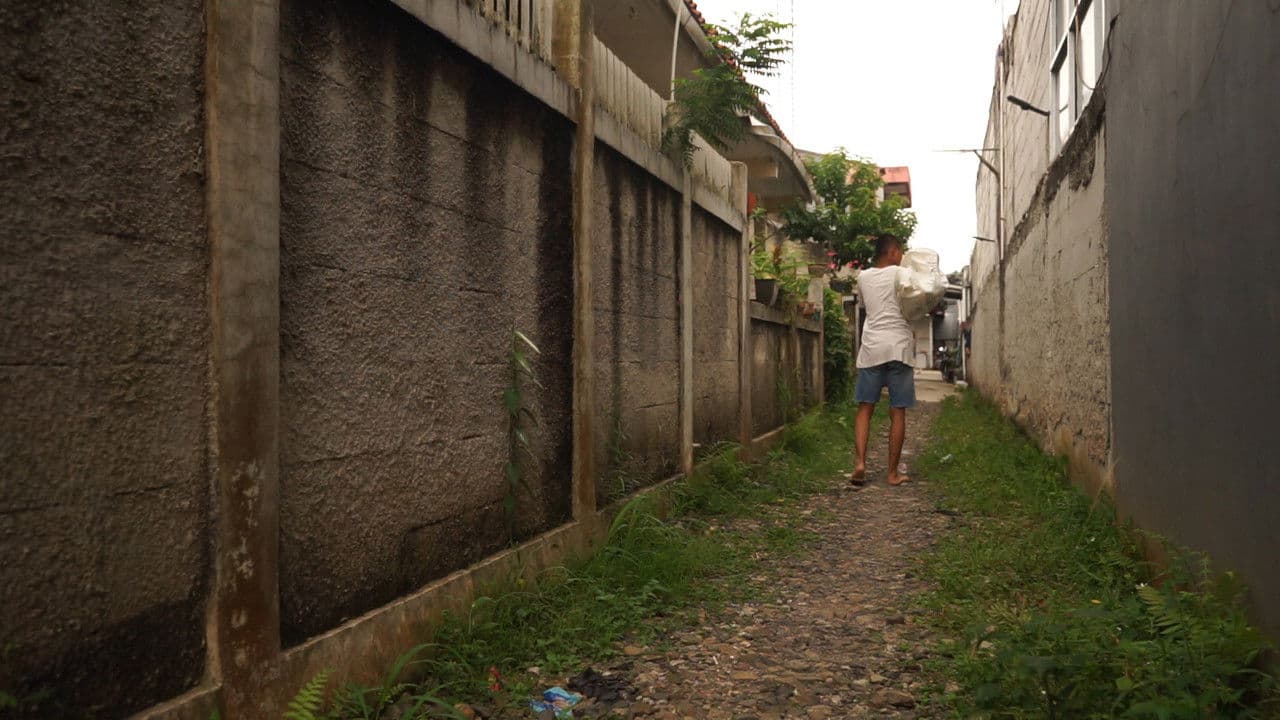 Sepiring Berduaの背景画像