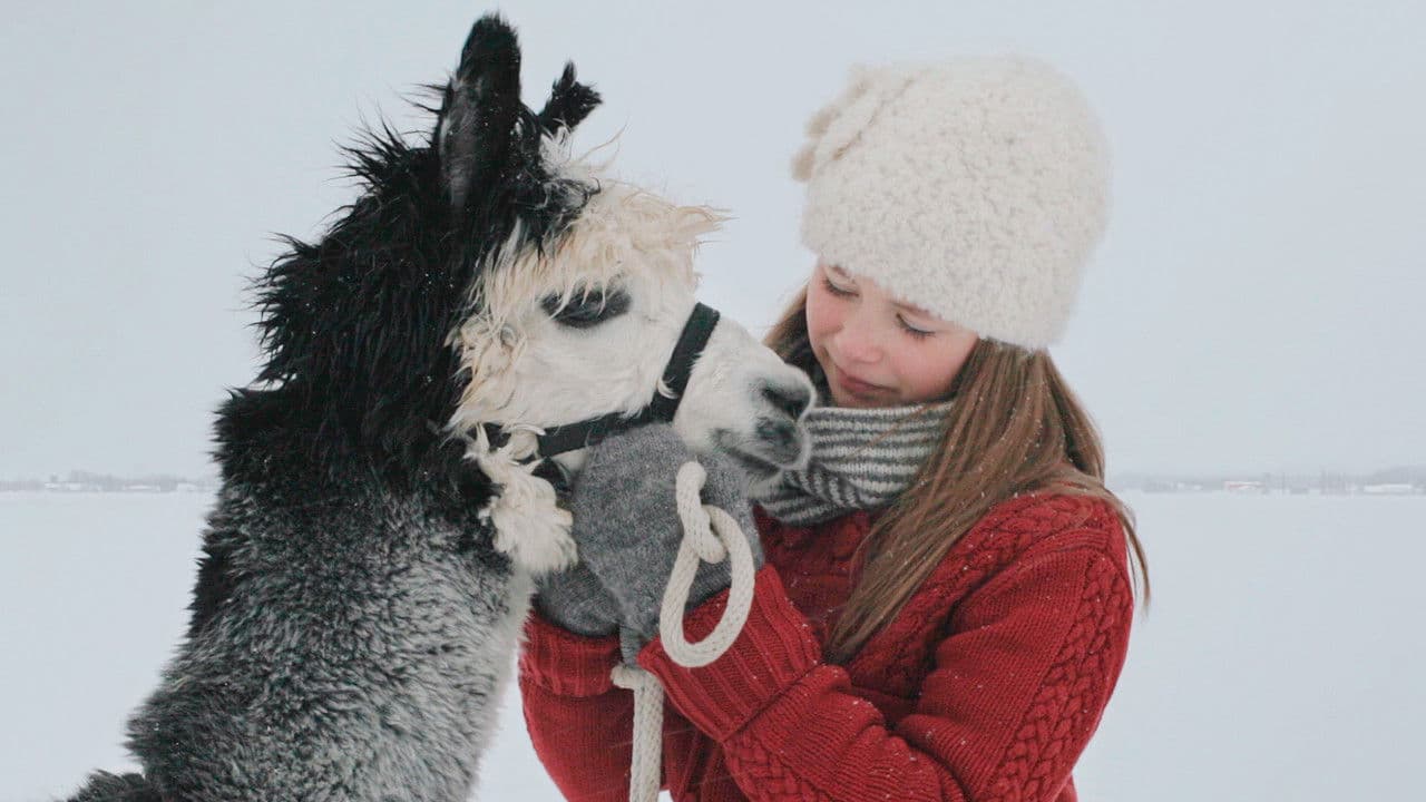 Les adieux de la Griseの背景画像