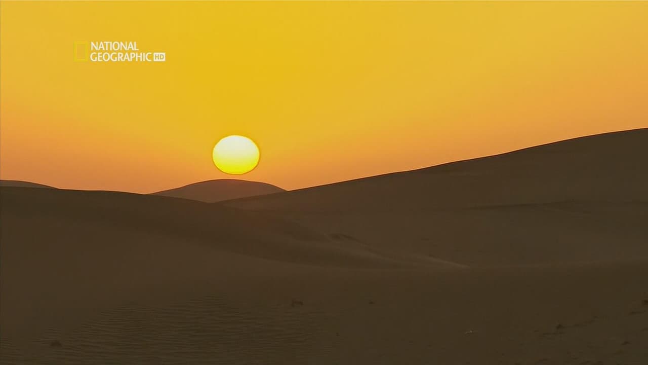 Lost in Chinaの背景画像