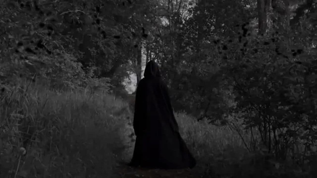 Sinu Pimedusの背景画像