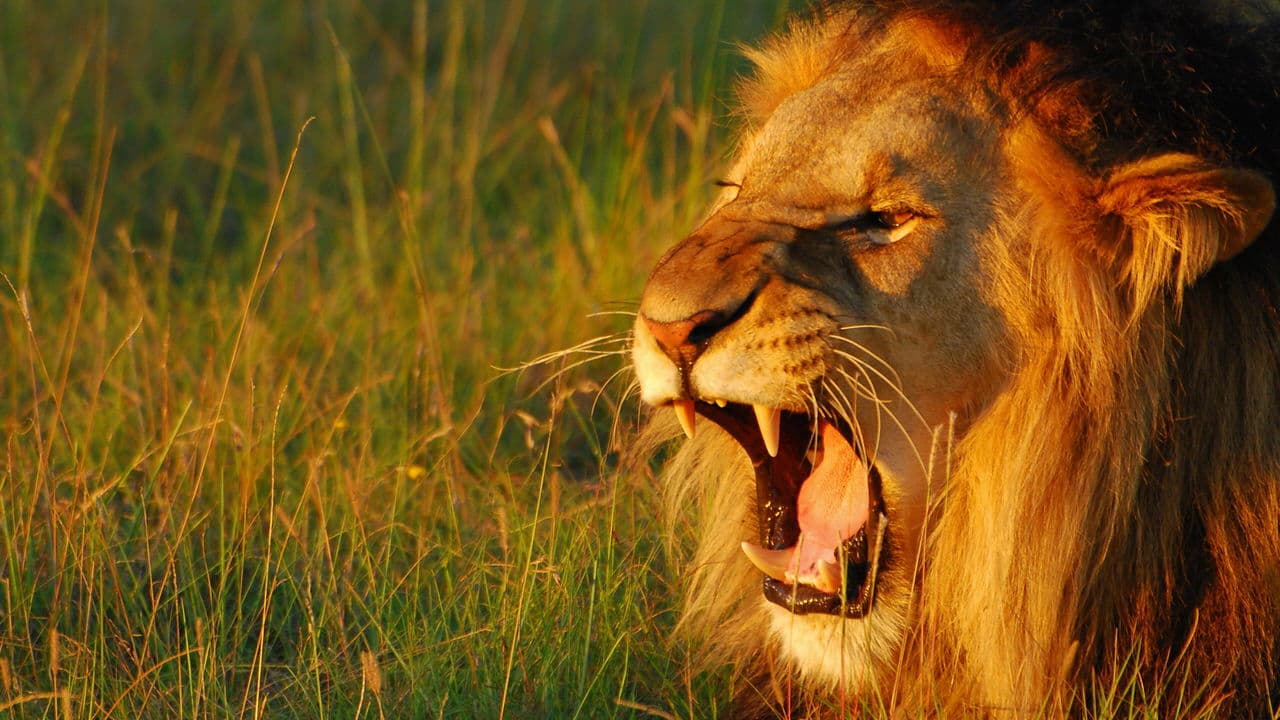 Secret World of Soundの背景画像