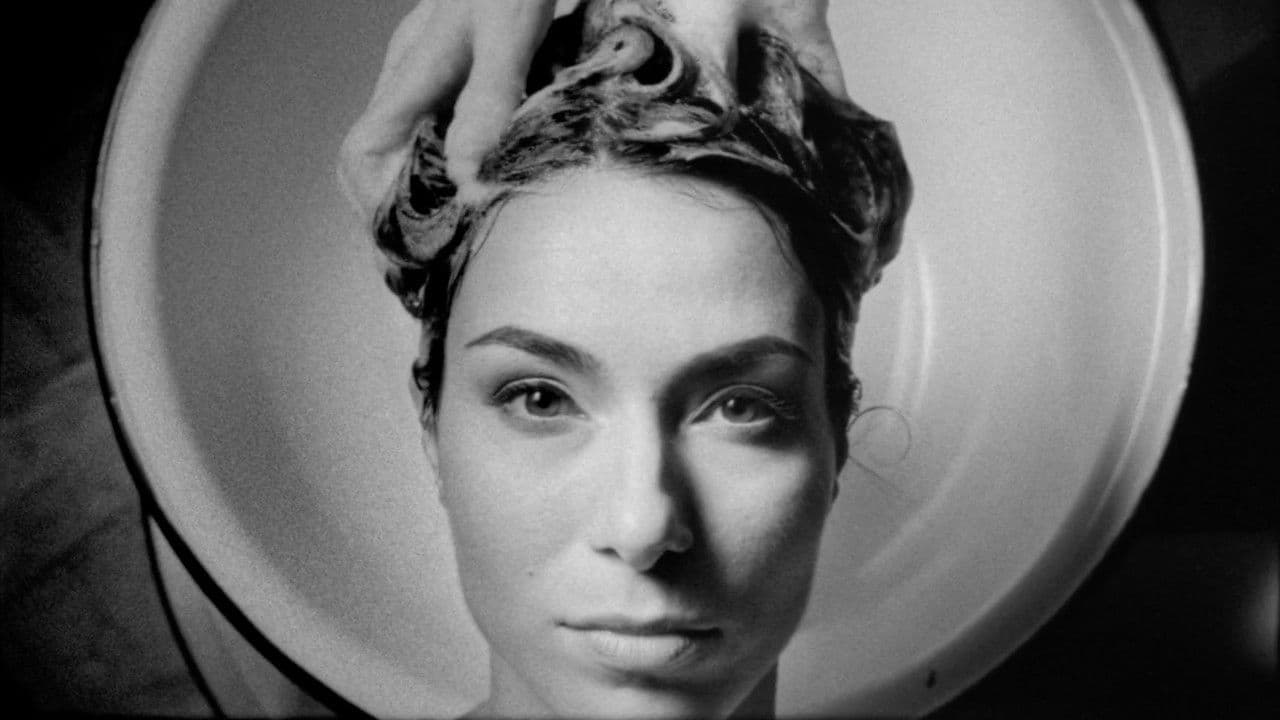 Cold Meridianの背景画像