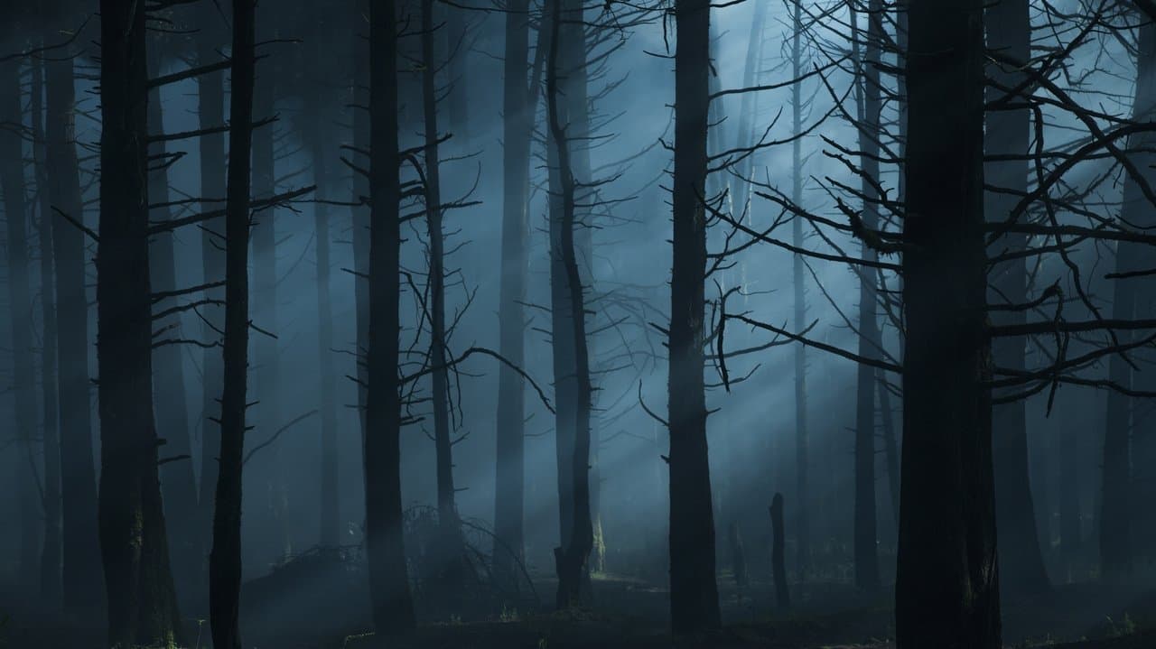 野良人間 獣に育てられた子どもたちの背景画像