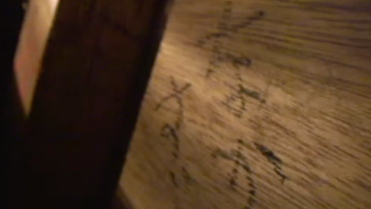 封印映像14 猫塚の呪いの背景画像