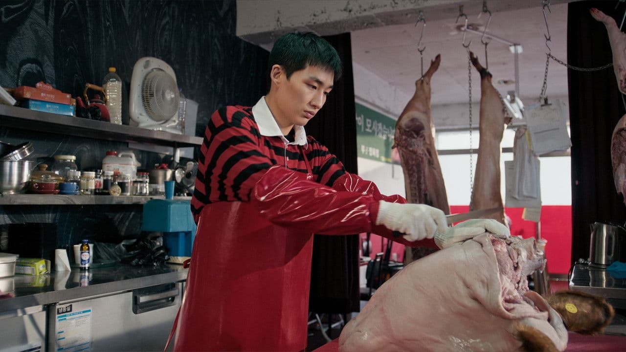 정육점집 외아들の背景画像