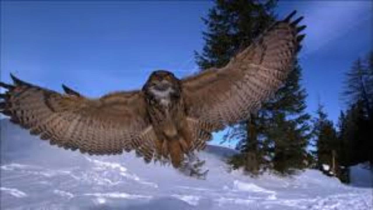 Der Flug der Euleの背景画像