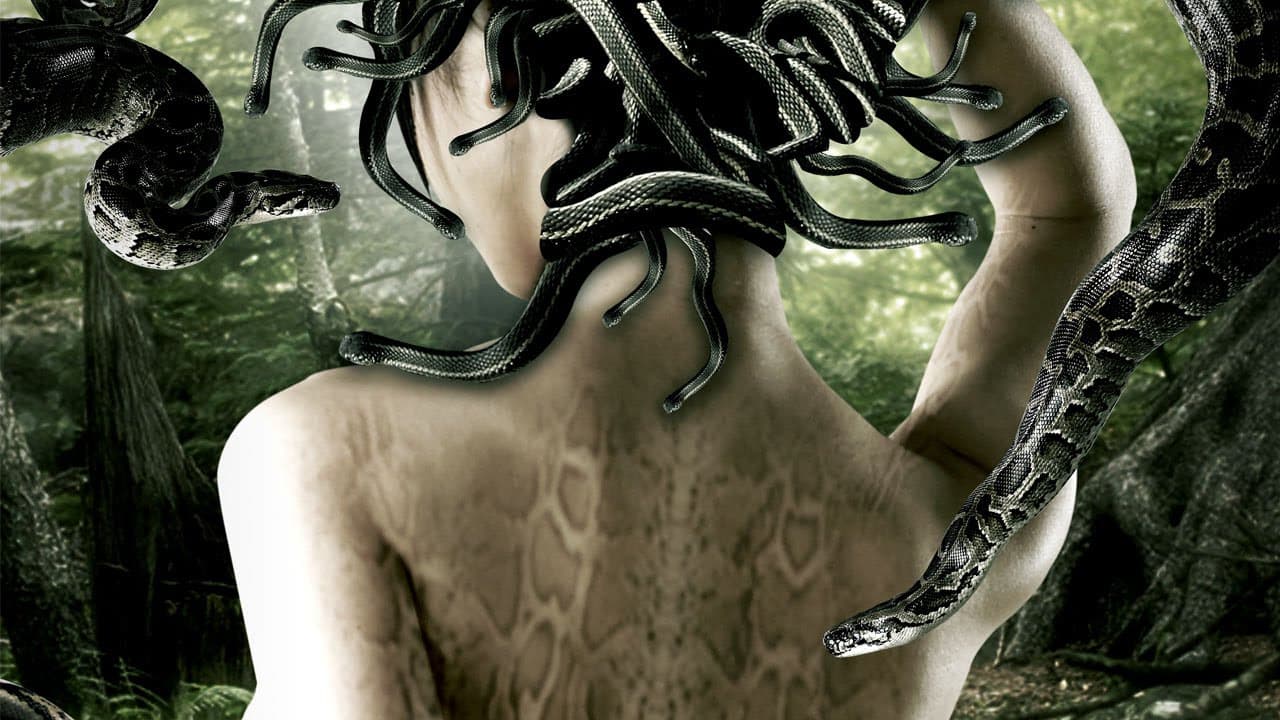 ปาฏิหาริย์รักต่างพันธุ์の背景画像