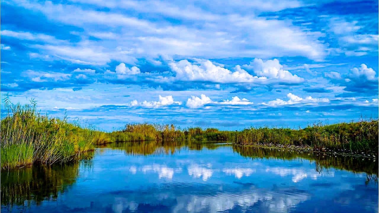 Der Sambesiの背景画像