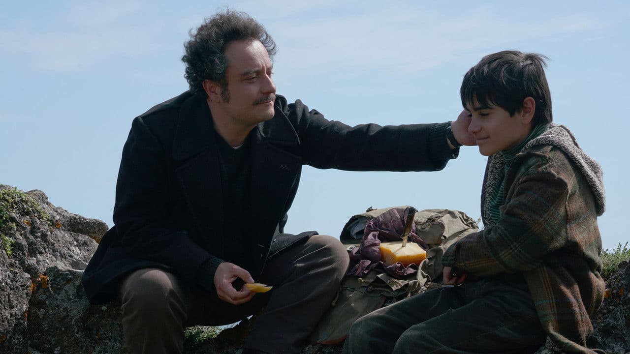 La festa del ritornoの背景画像