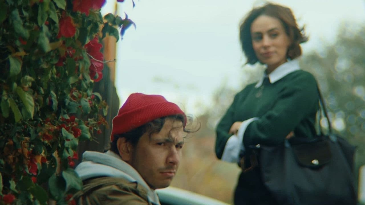 The Man With The Cardboard Boxの背景画像