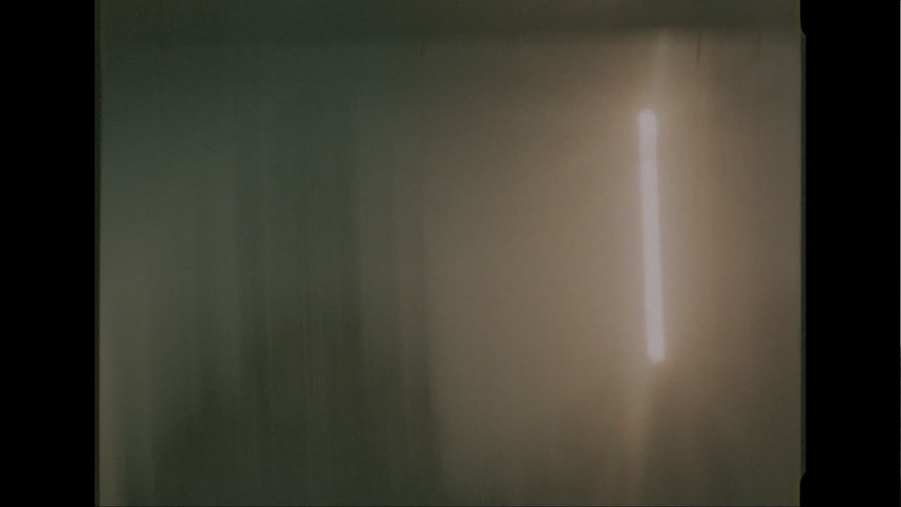 Cormorantの背景画像