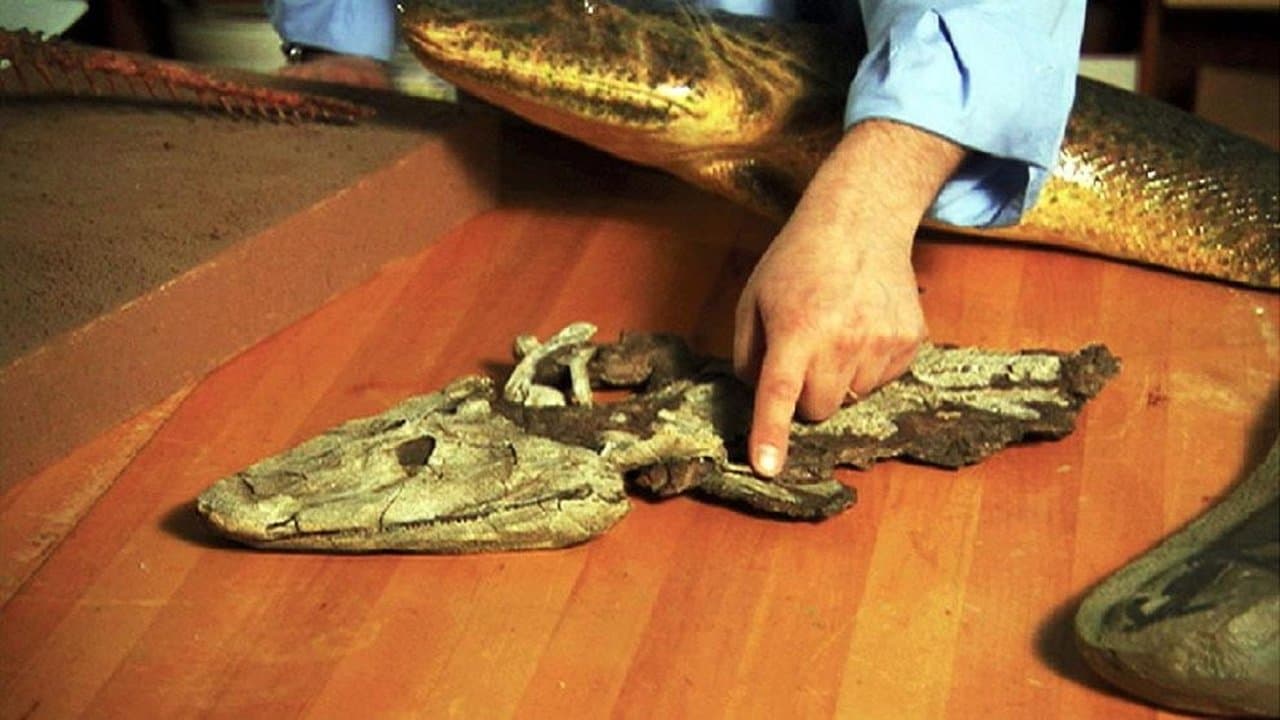 NOVA: Judgement Day - Intelligent Design on Trialの背景画像