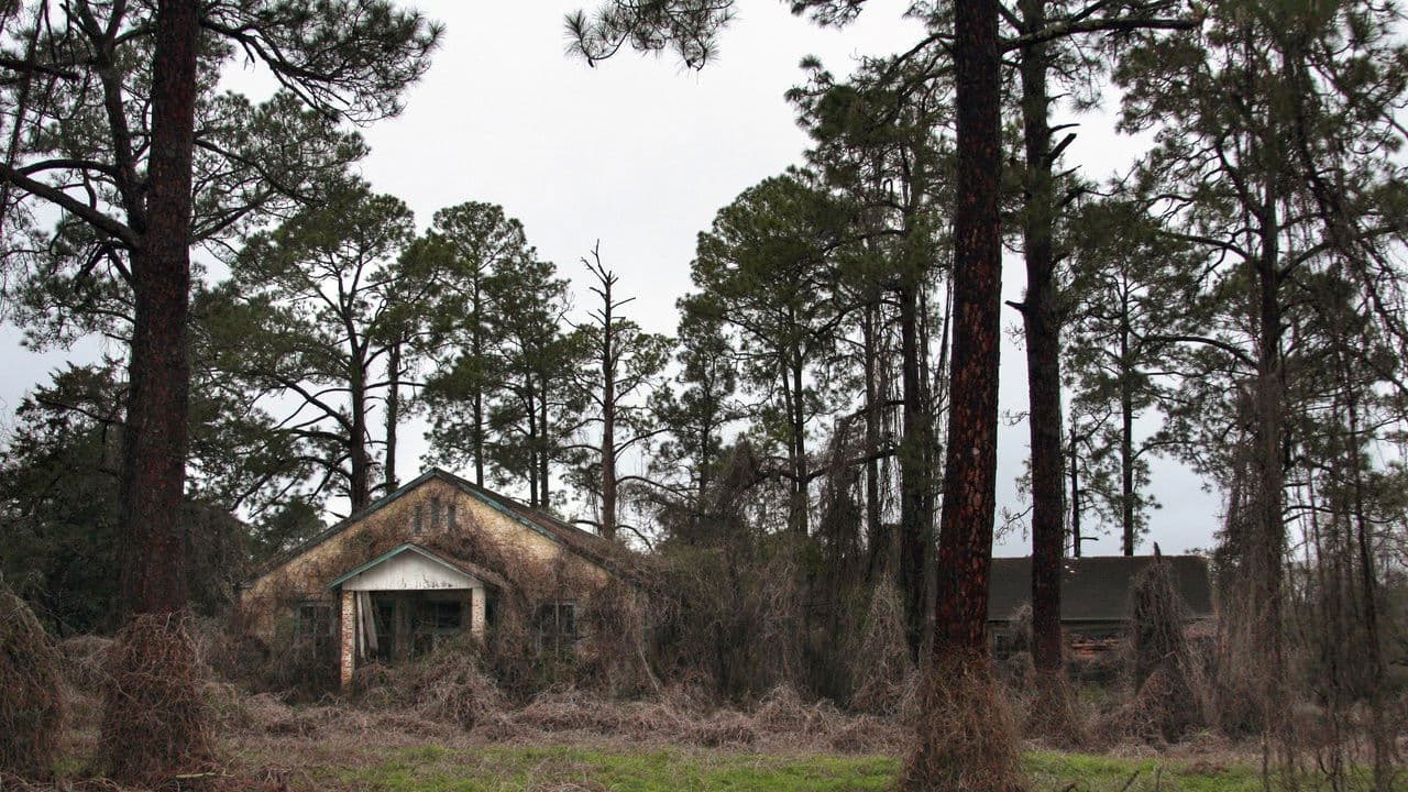 Deadly Secrets: The Lost Children of Dozierの背景画像