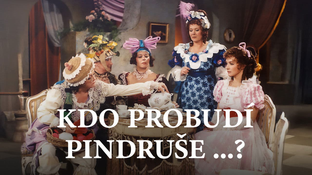 Kdo probudí Pindruše...?の背景画像
