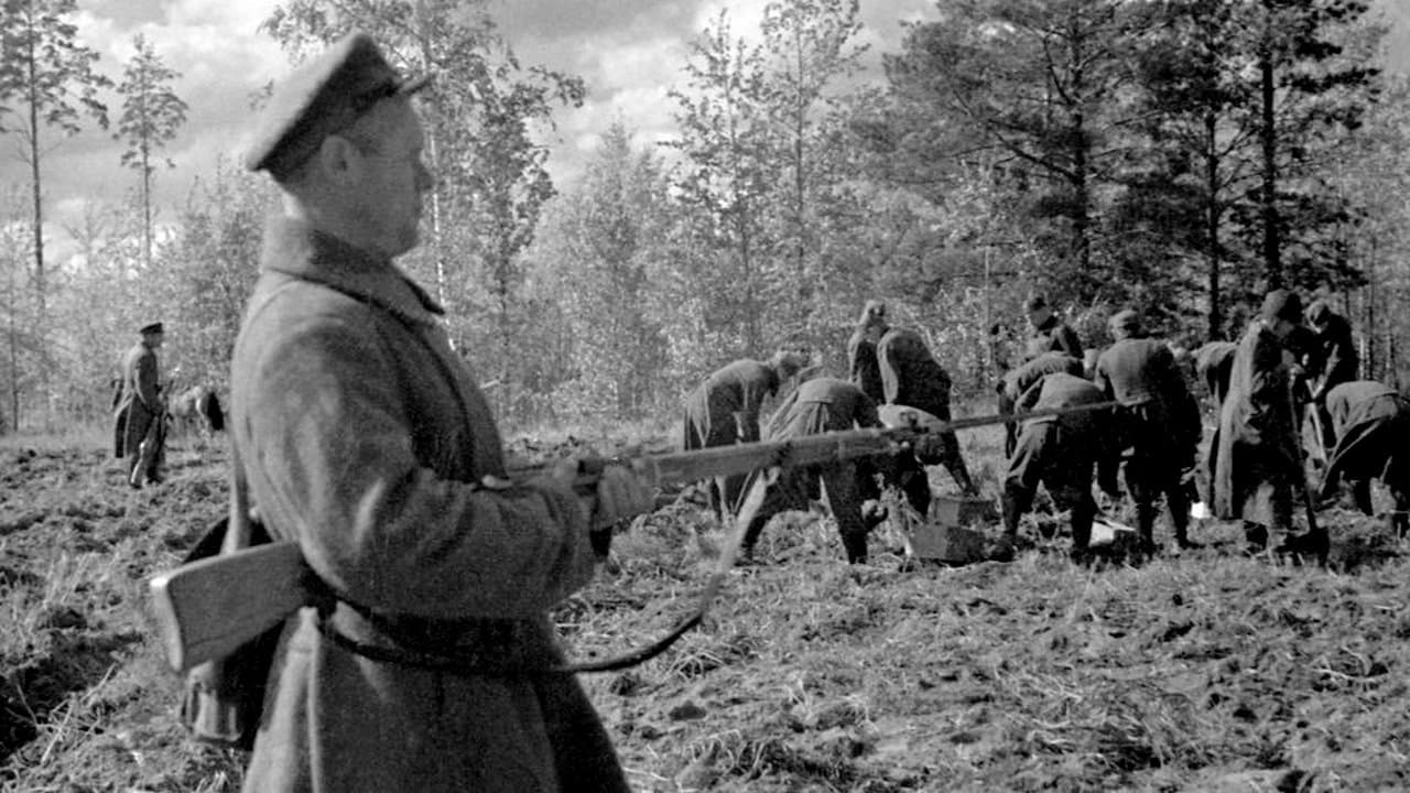 Les Bourreaux de Staline : Katyn, 1940の背景画像