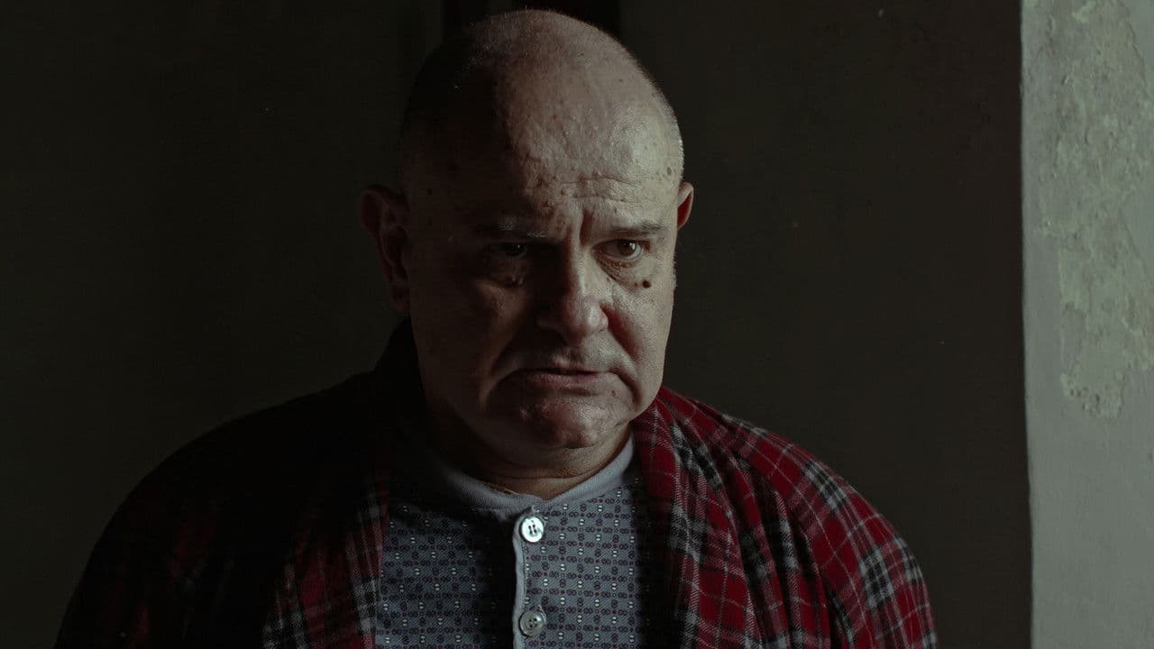 Il Coleotteroの背景画像