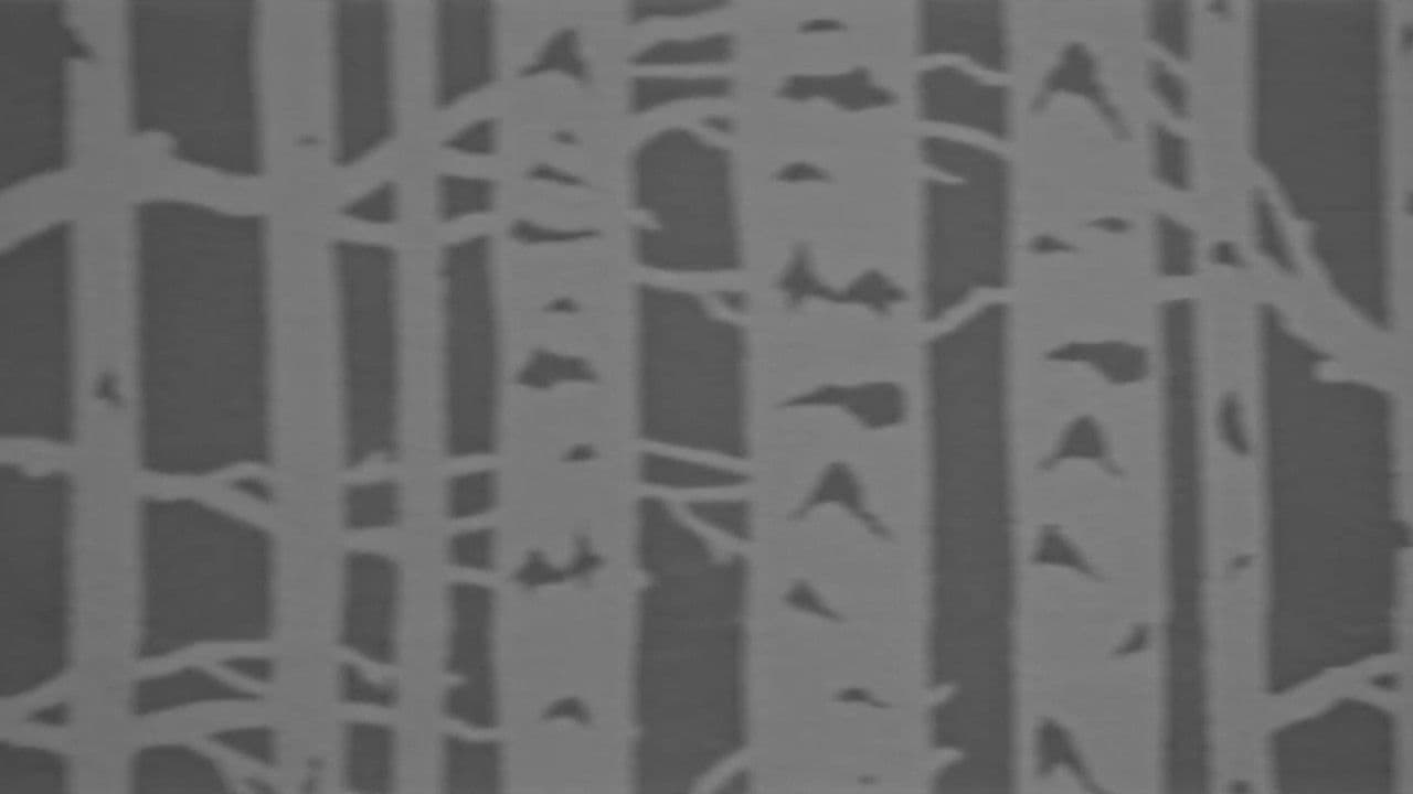 Echo Awakeの背景画像