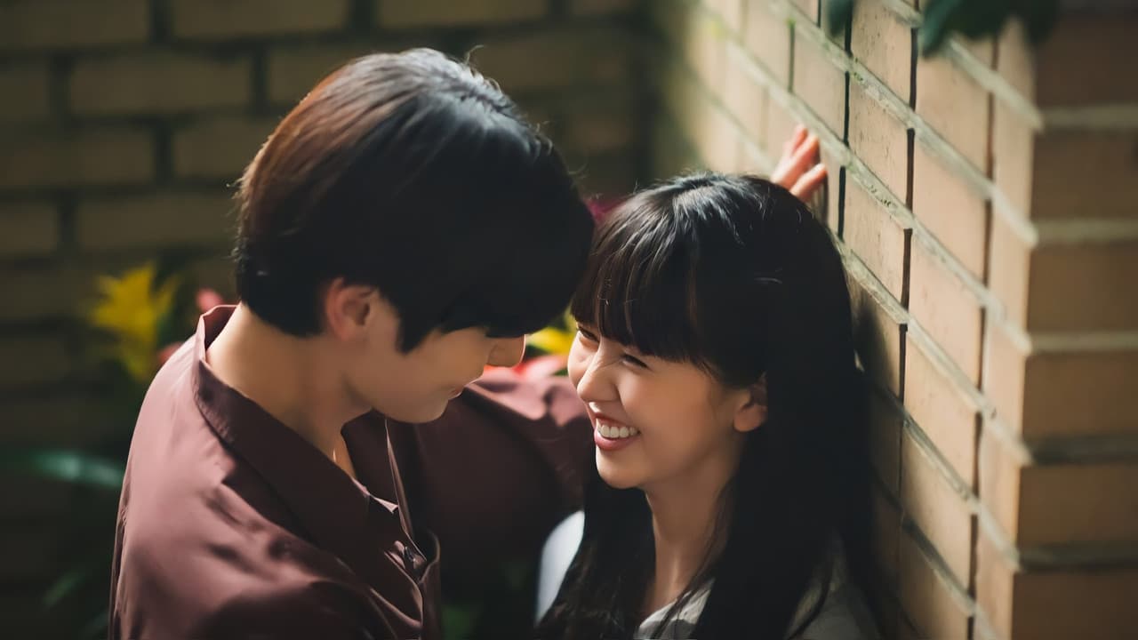 マイ・ラブリー・ライアーの背景画像