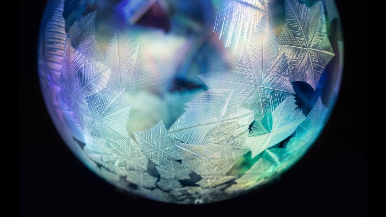 Forces of Nature with Brian Coxの背景画像