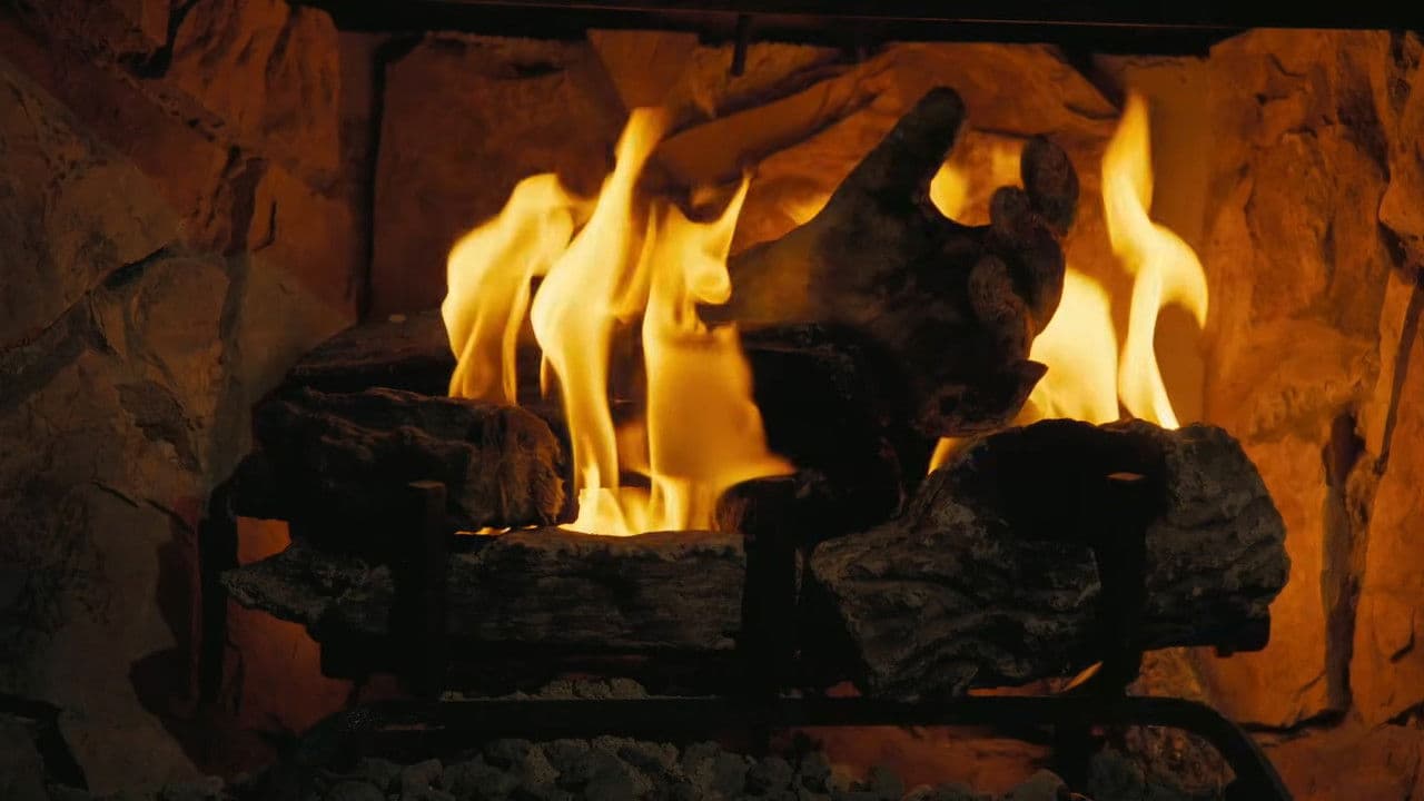 Fallout: The Ghoul Logの背景画像