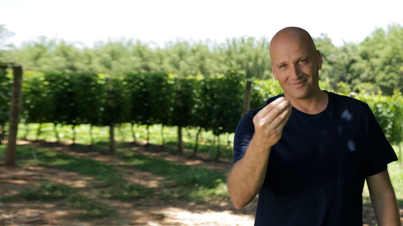 Giro com Giuseppeの背景画像