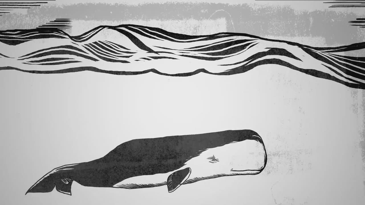 Mit Moby Dick durch Amerikaの背景画像