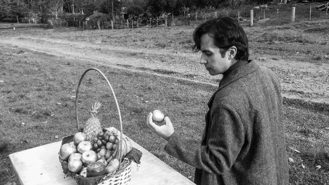 Xadrez Espelhadoの背景画像