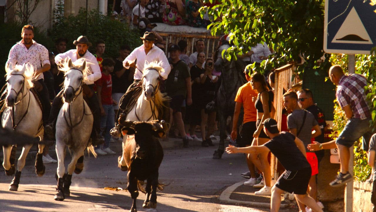 Boucanの背景画像