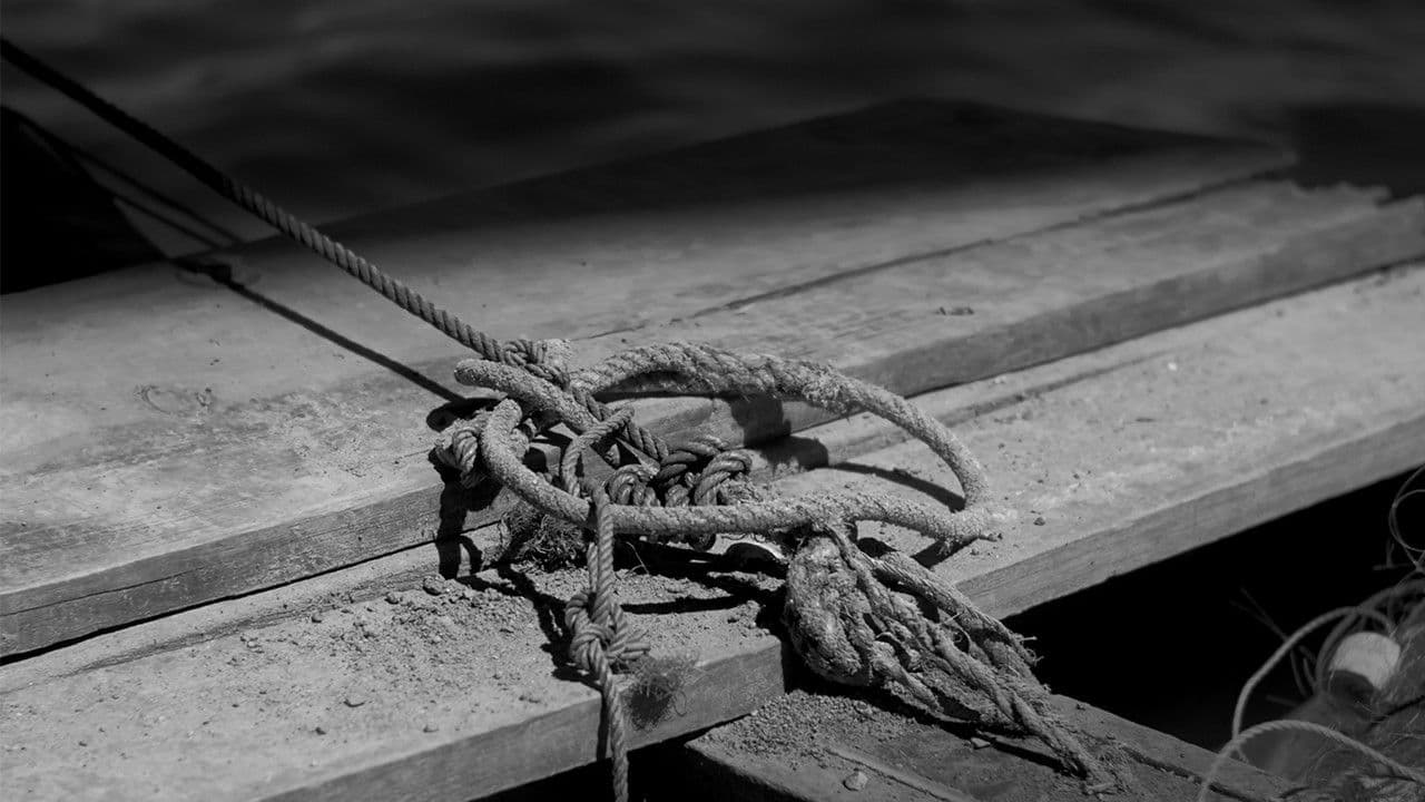 Facticityの背景画像