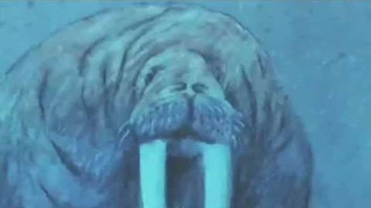 Le Fleuve aux grandes eauxの背景画像