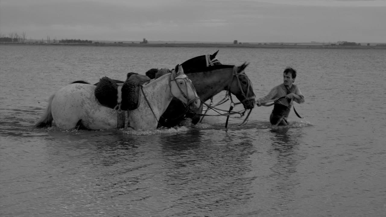 El movimientoの背景画像