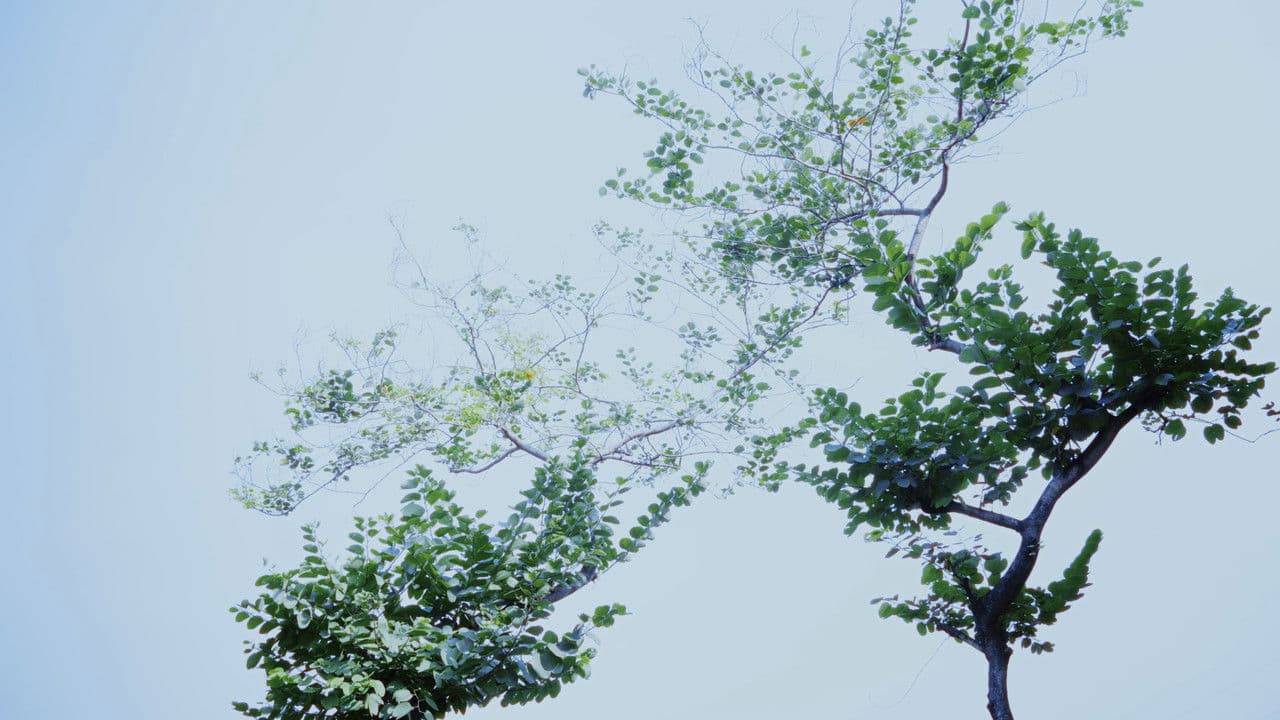 Hypothesis of Barrier Agreed Uponの背景画像