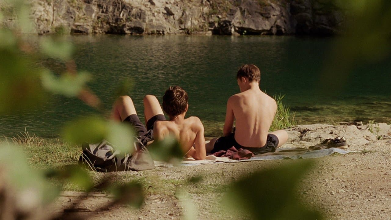 Cikádaの背景画像