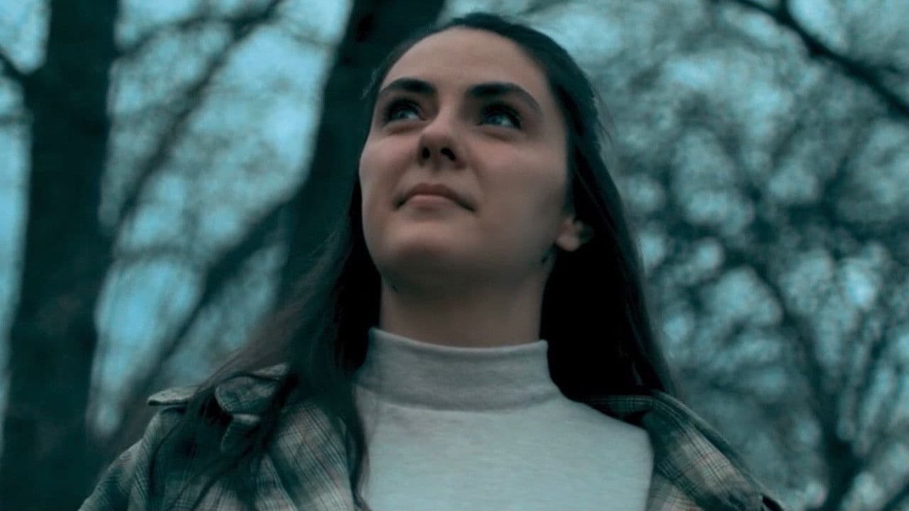 Rhododendronの背景画像