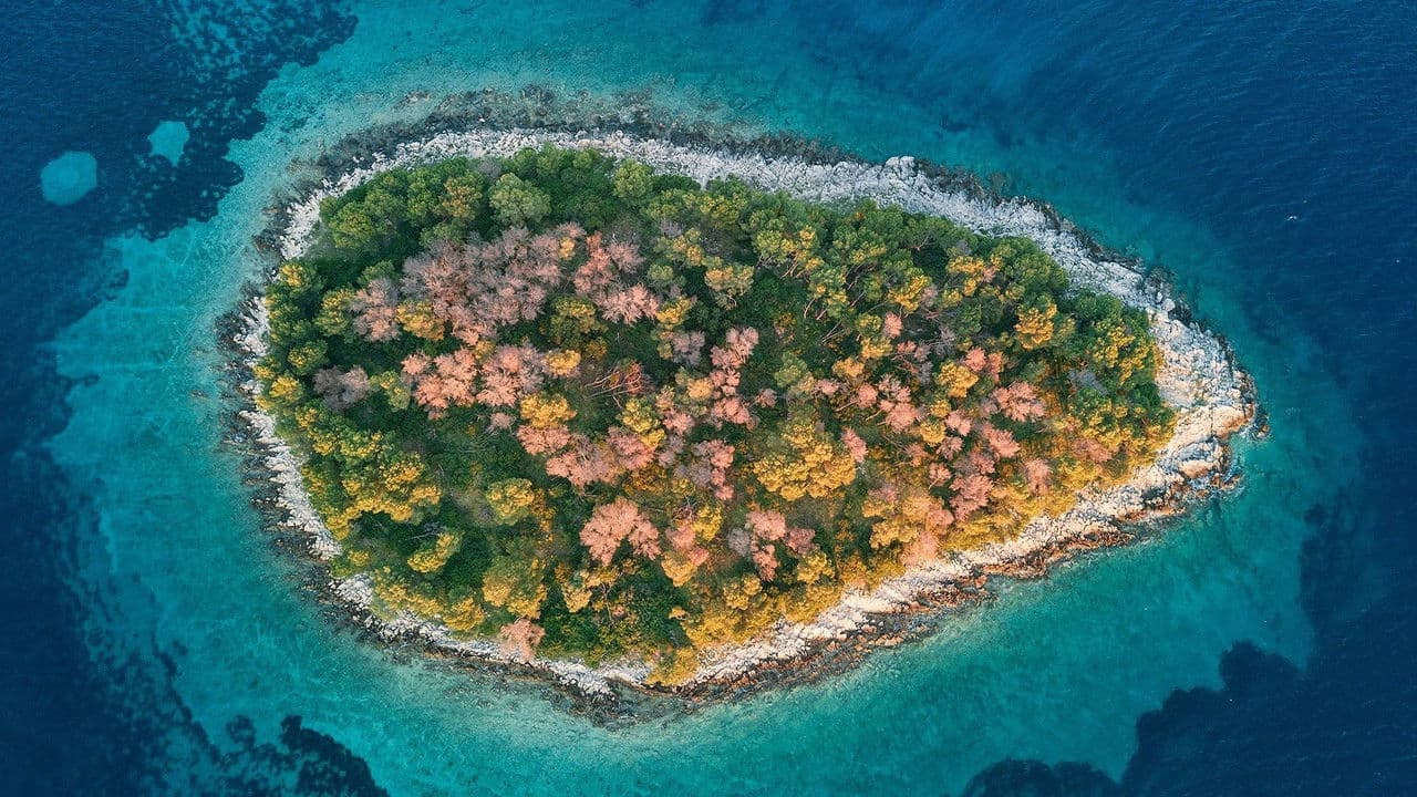 Ushuaïa Natureの背景画像